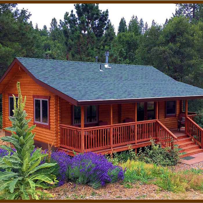 Tiny Home Cabin meets Dream Vacation Rental