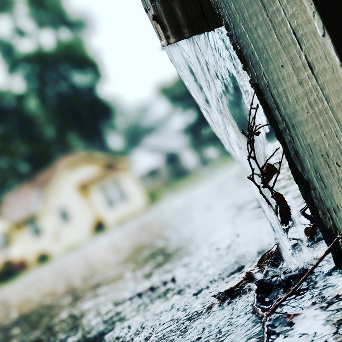 Harvest and Purify Rainwater for Off-Grid Use